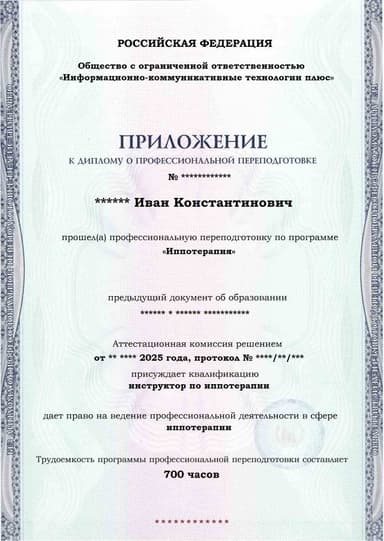 Образец приложения лицевая сторона (итоговое тестирование) по программе Иппотерапия