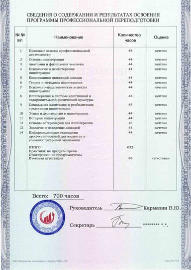 Образец приложения оборотная сторона (итоговое тестирование) по программе Иппотерапия