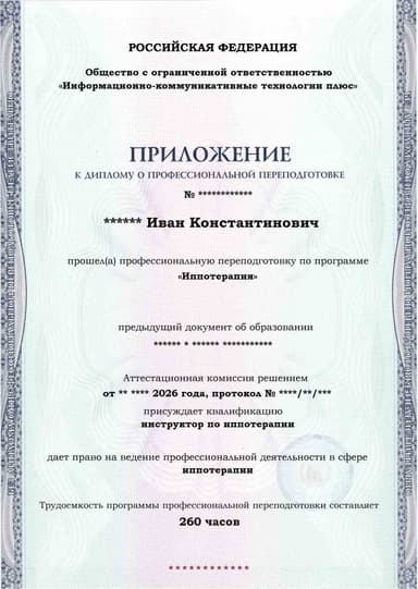Образец приложения лицевая сторона (итоговое тестирование) по программе Иппотерапия