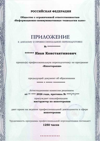 Образец приложения лицевая сторона (итоговое тестирование) по программе Иппотерапия