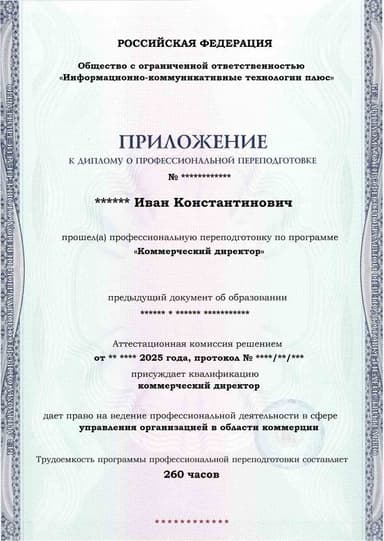 Образец приложения лицевая сторона (итоговое тестирование) по программе Коммерческий директор
