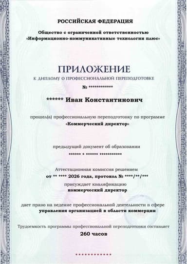 Образец приложения лицевая сторона (итоговое тестирование) по программе Коммерческий директор