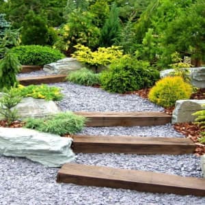 Изучите онлайн курс Ландшафтный дизайн