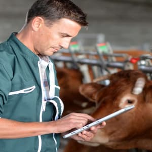 Изображение обложки