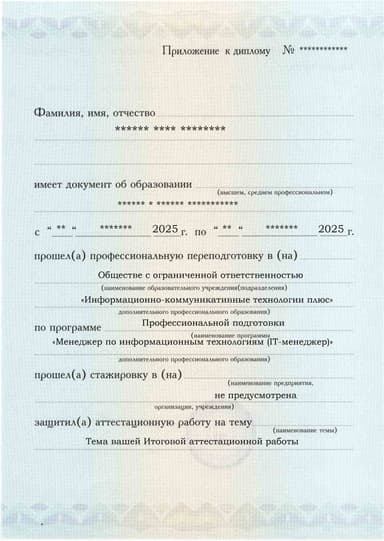 Образец приложения лицевая сторона (аттестационная работа) по программе Менеджер по информационным технологиям (IT-менеджер)