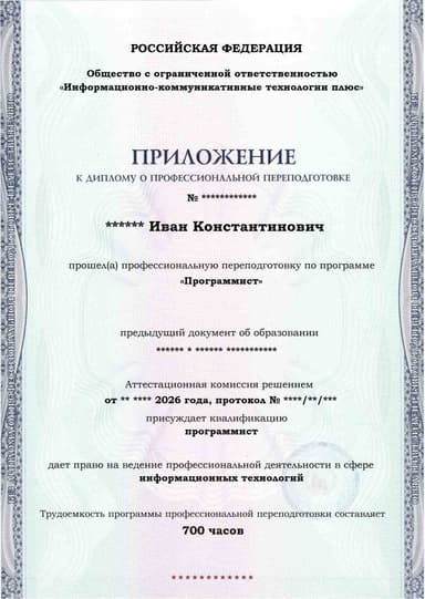 Образец приложения лицевая сторона (итоговое тестирование) по программе Программист