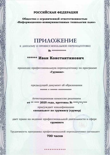 Образец приложения лицевая сторона (итоговое тестирование) по программе Груминг