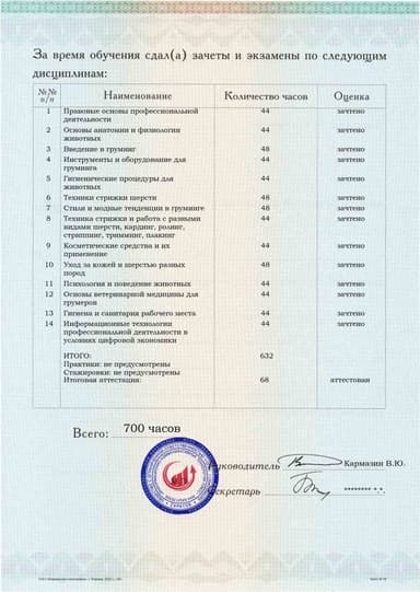 Образец приложения оборотная сторона (аттестационная работа) по программе Груминг