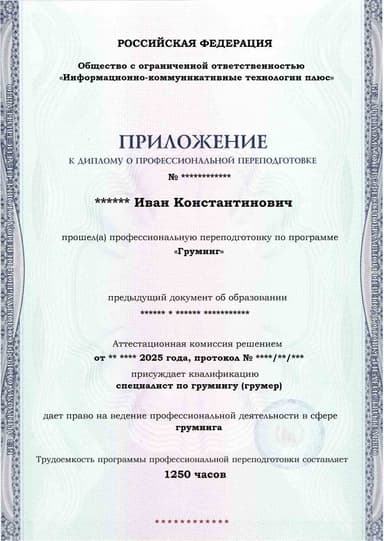 Образец приложения лицевая сторона (итоговое тестирование) по программе Груминг