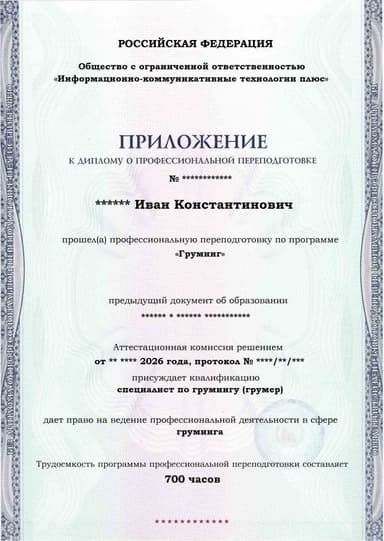 Образец приложения лицевая сторона (итоговое тестирование) по программе Груминг