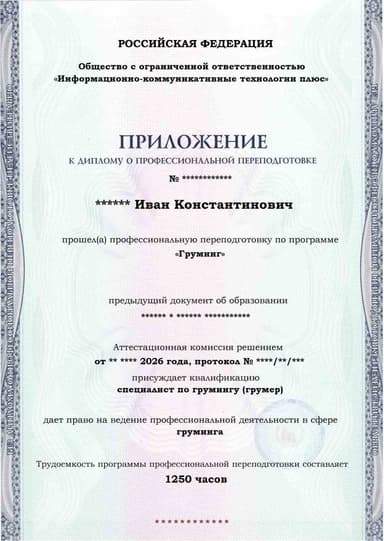 Образец приложения лицевая сторона (итоговое тестирование) по программе Груминг