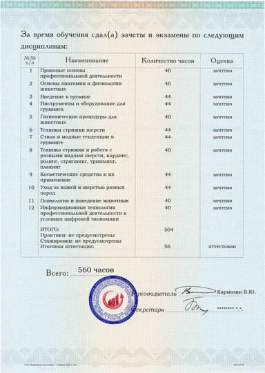 Образец приложения оборотная сторона (аттестационная работа) по программе Груминг