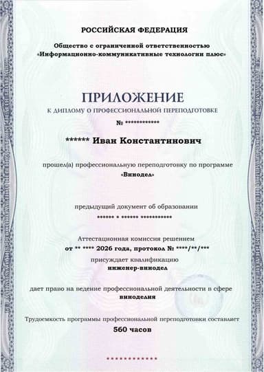 Образец приложения лицевая сторона (итоговое тестирование) по программе Винодел