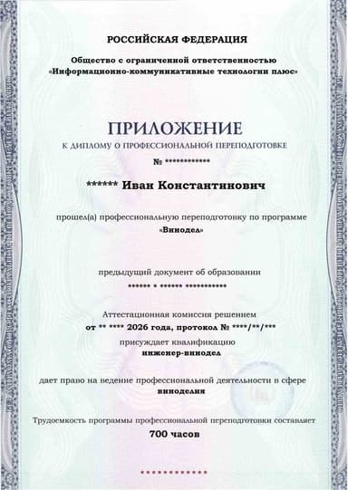 Образец приложения лицевая сторона (итоговое тестирование) по программе Винодел