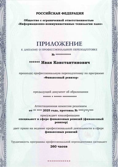 Образец приложения лицевая сторона (итоговое тестирование) по программе Финансовый ревизор