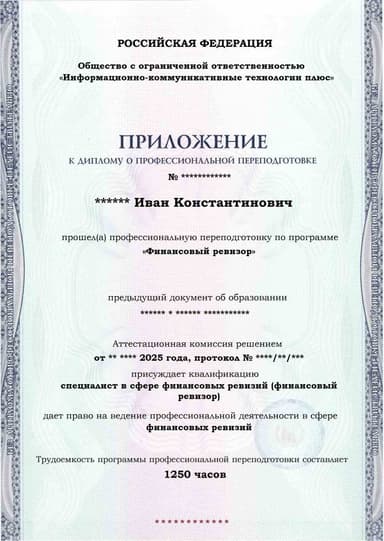 Образец приложения лицевая сторона (итоговое тестирование) по программе Финансовый ревизор