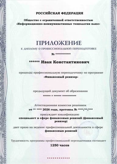 Образец приложения лицевая сторона (итоговое тестирование) по программе Финансовый ревизор