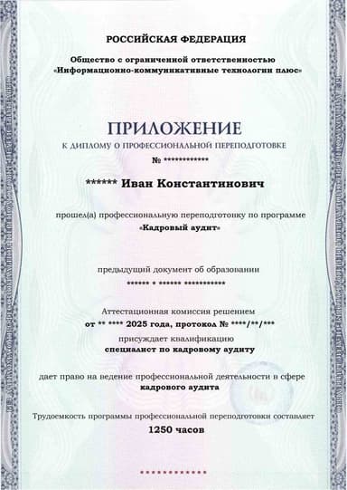 Образец приложения лицевая сторона (итоговое тестирование) по программе Кадровый аудит