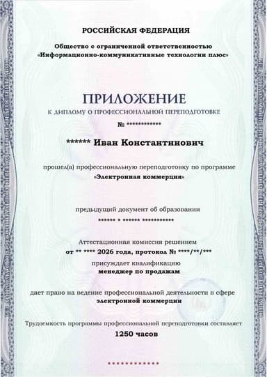 Образец приложения лицевая сторона (итоговое тестирование) по программе Электронная коммерция