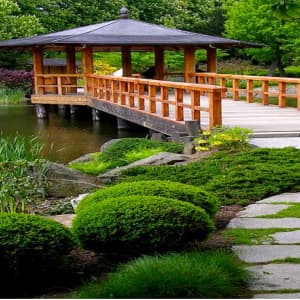 Изучите онлайн курс Ландшафтный архитектор