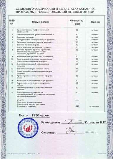 Образец приложения оборотная сторона (итоговое тестирование) по программе Груминг