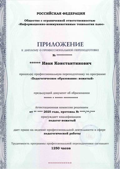 Образец приложения лицевая сторона (итоговое тестирование) по программе Педагогическое образование: вожатый