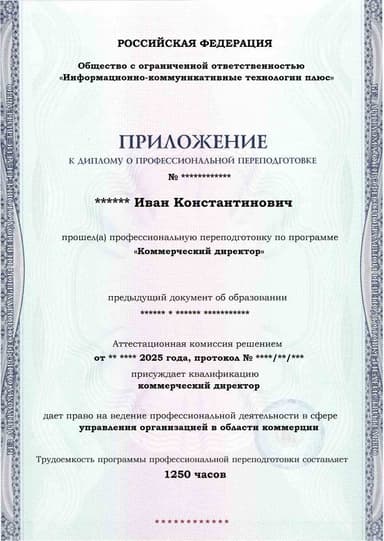 Образец приложения лицевая сторона (итоговое тестирование) по программе Коммерческий директор