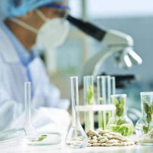 Изучите онлайн курс Лаборант по испытанию и апробации семян сельскохоз. культур