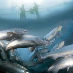 Изображение обложки