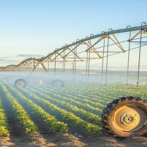 Изучите онлайн курс Мелиорация