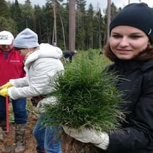 Изучите онлайн курс Лесное дело
