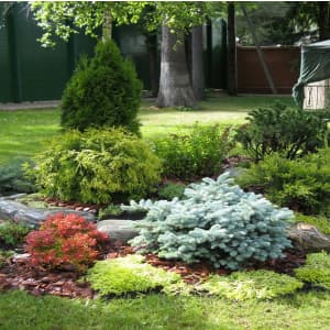 Изображение обложки