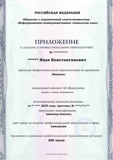 Образец приложения лицевая сторона (итоговое тестирование) по программе Винодел