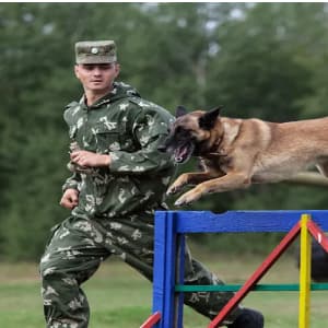 Изображение обложки