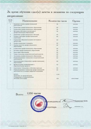 Образец приложения оборотная сторона (аттестационная работа) по программе Педагогическое образование: мастер производственного обучения